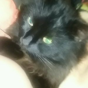 Meet your Posher, Peggy